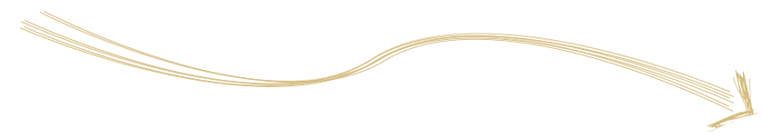 Saliceto Production Chain