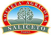 logo-saliceto